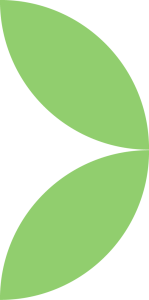 Zest_SingleLeaf_Green_Side
