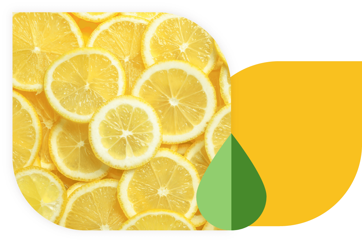 Optimize